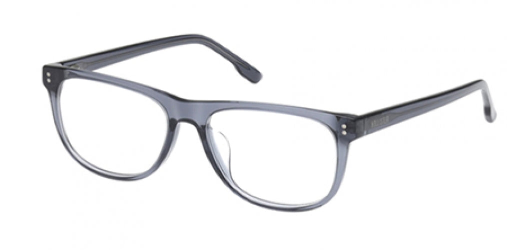 HOLLISTER 50042 Eyeglasses