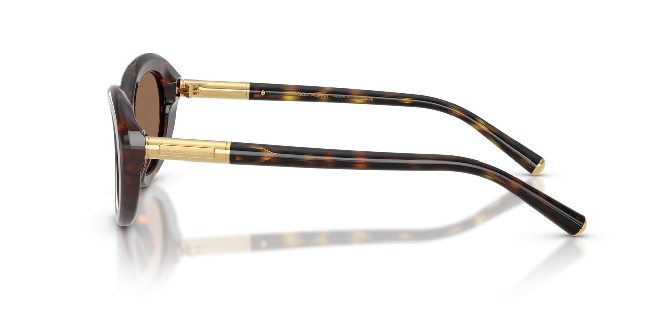 502/73 - Tortoise - Dark Brown