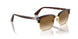24/51 - Tortoise - Clear Gradient Brown