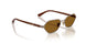 513883 - Brown - Dark Brown Polar