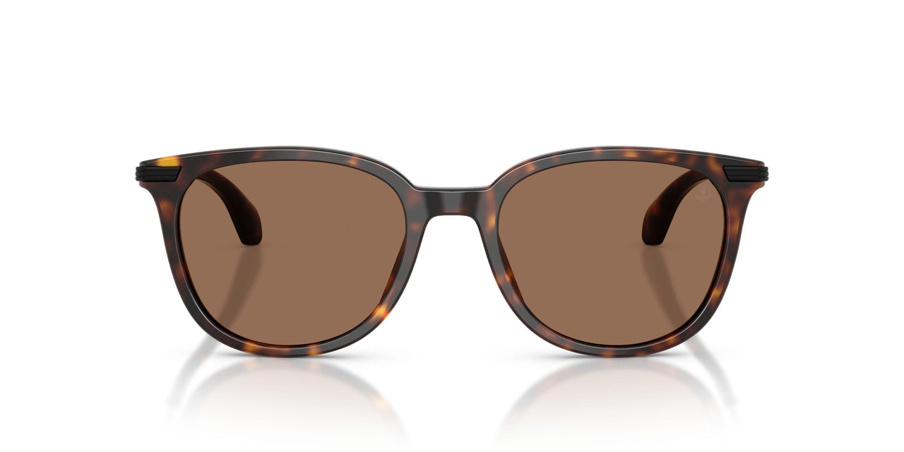 300273 - Tortoise - Solid Brown