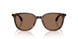 300273 - Tortoise - Solid Brown