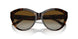 5002T5 - Tortoise - Polarized Gradient Brown