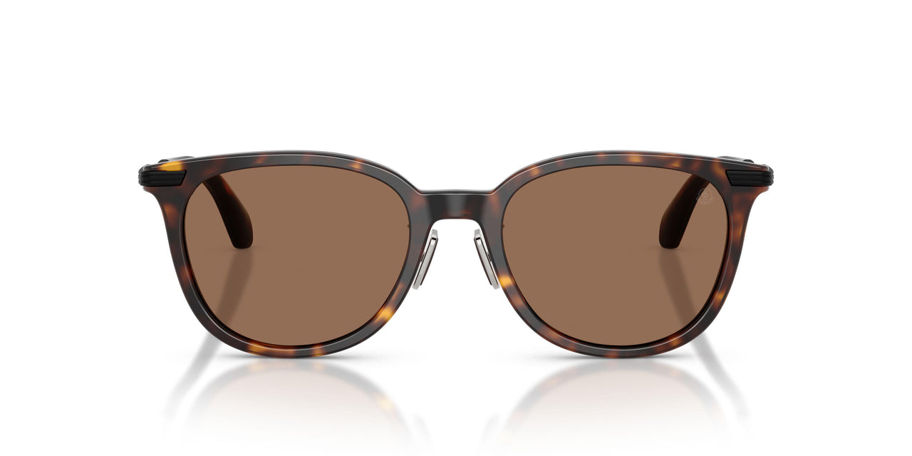 300273 - Tortoise - Solid Brown