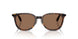 300273 - Tortoise - Solid Brown