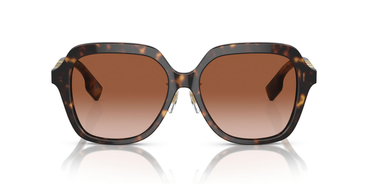 300213 - Brown - Brown Gradient