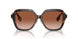 300213 - Brown - Brown Gradient