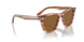 172652 - Brown - True Brown