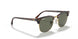 990/58 - Red Havana - Crystal Green Polarized