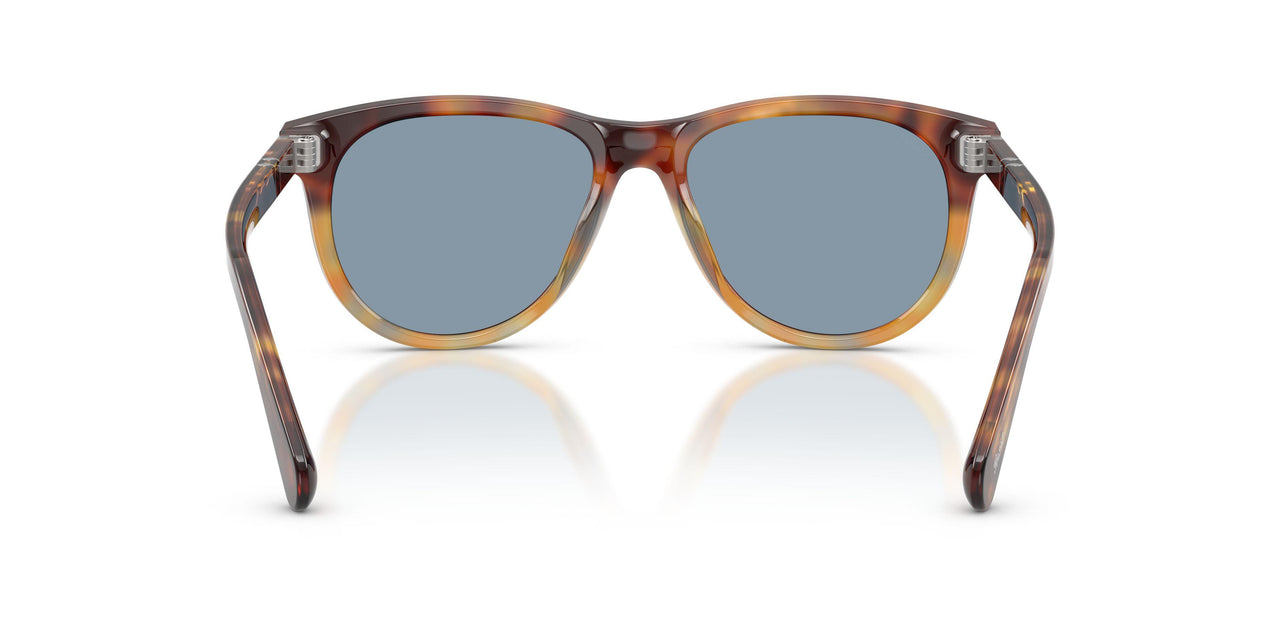 115856 - Tortoise - Light Blue