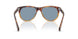115856 - Tortoise - Light Blue