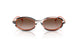 642613 - Multicolor - Brown Gradient