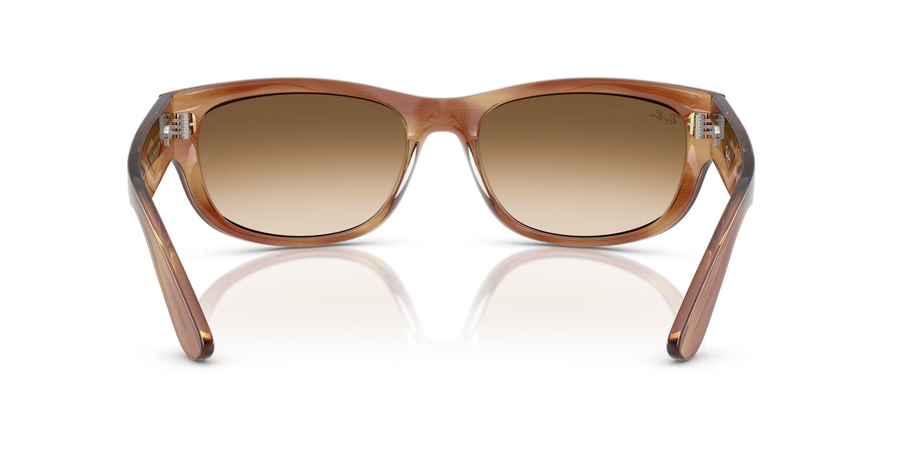 140351 - Tortoise - Clear Gradient Brown
