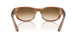 140351 - Tortoise - Clear Gradient Brown