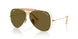 001/73 - Gold - Dark Brown
