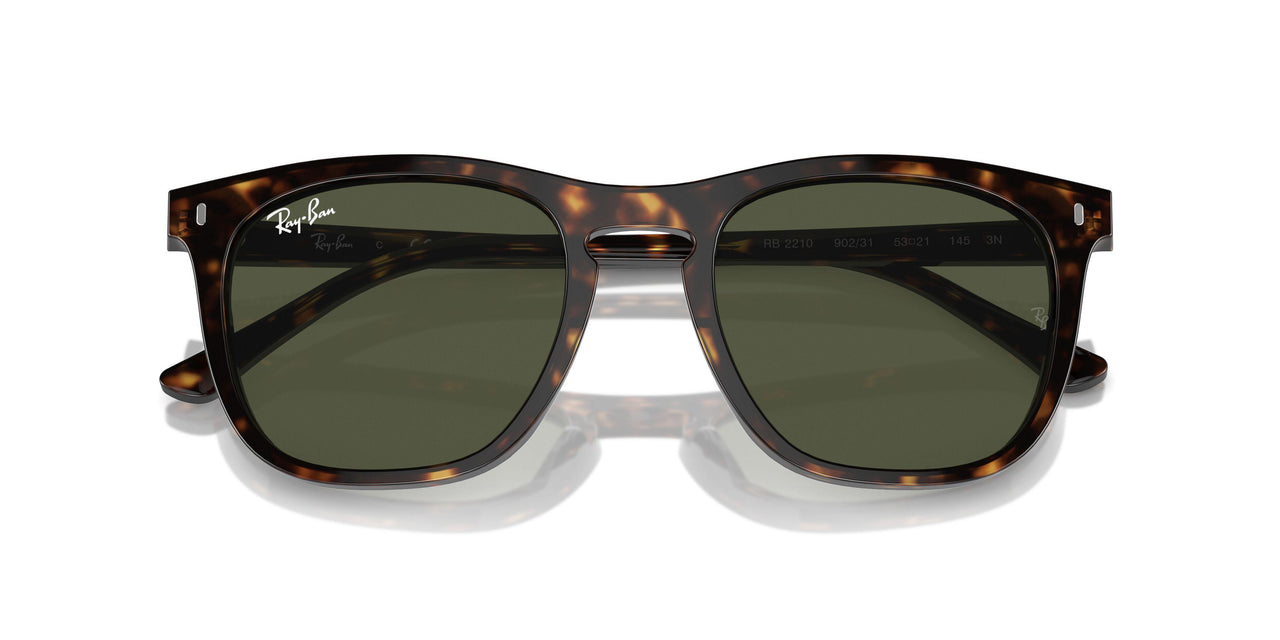 902/31 - Tortoise - Green