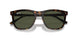 902/31 - Tortoise - Green