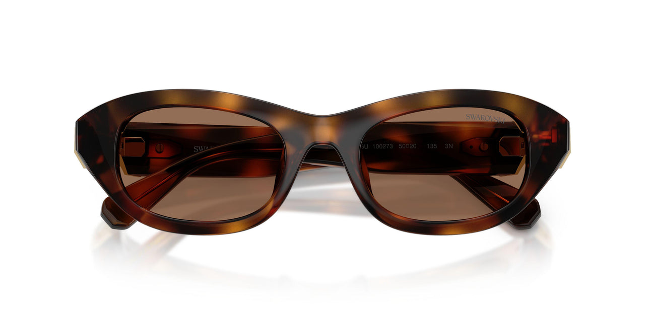 100273 - Tortoise - Dark Brown