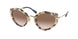 07D0A6 - Havana - Brown Gradient