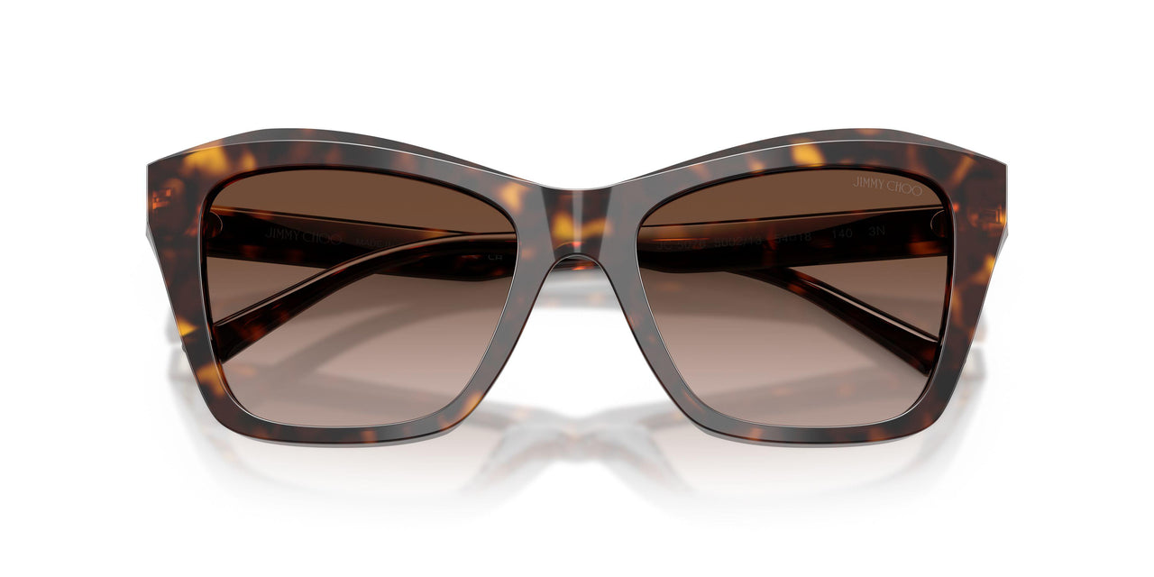 500213 - Tortoise - Brown Gradient