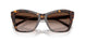 500213 - Tortoise - Brown Gradient