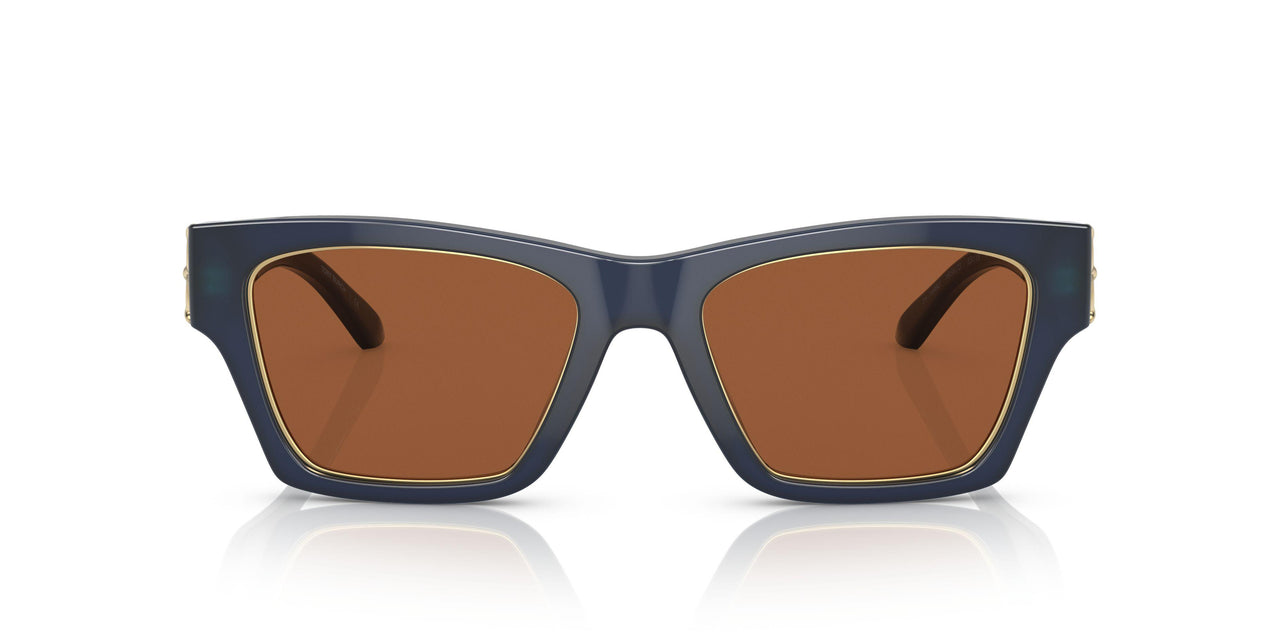 165673 - Blue - Solid Brown