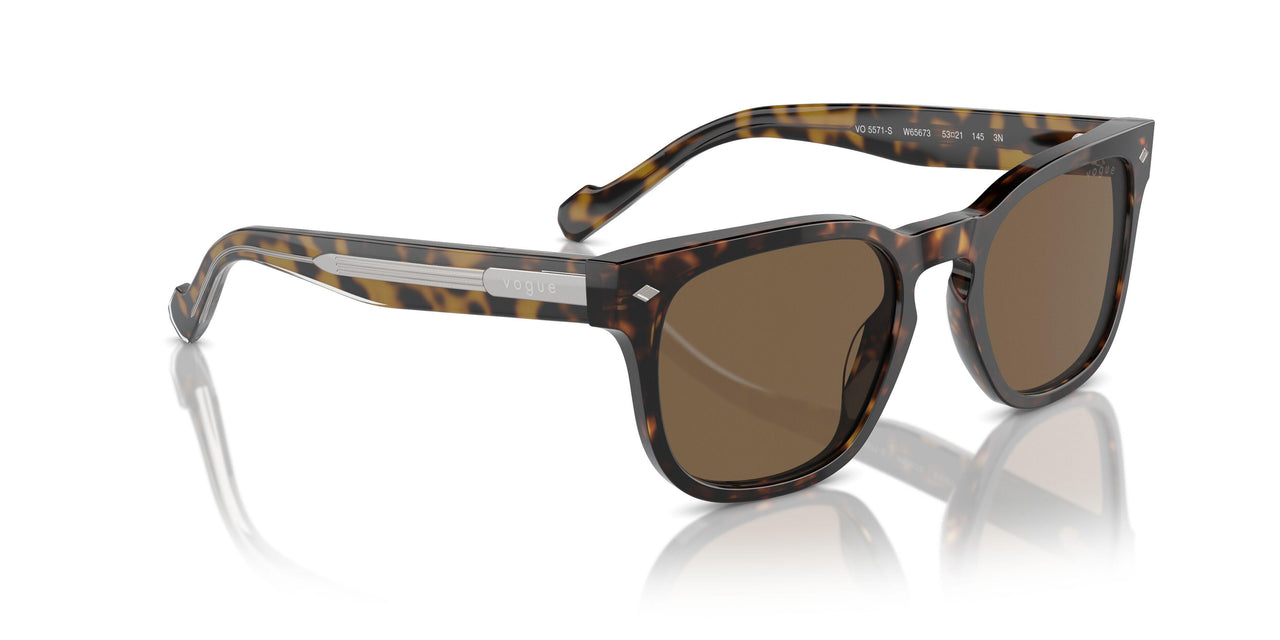 W65673 - Brown - Dark Brown