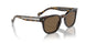 W65673 - Brown - Dark Brown