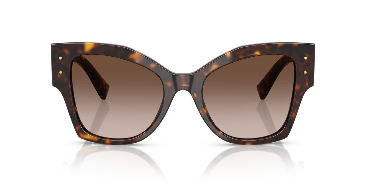 502/13 - Tortoise - Gradient Brown
