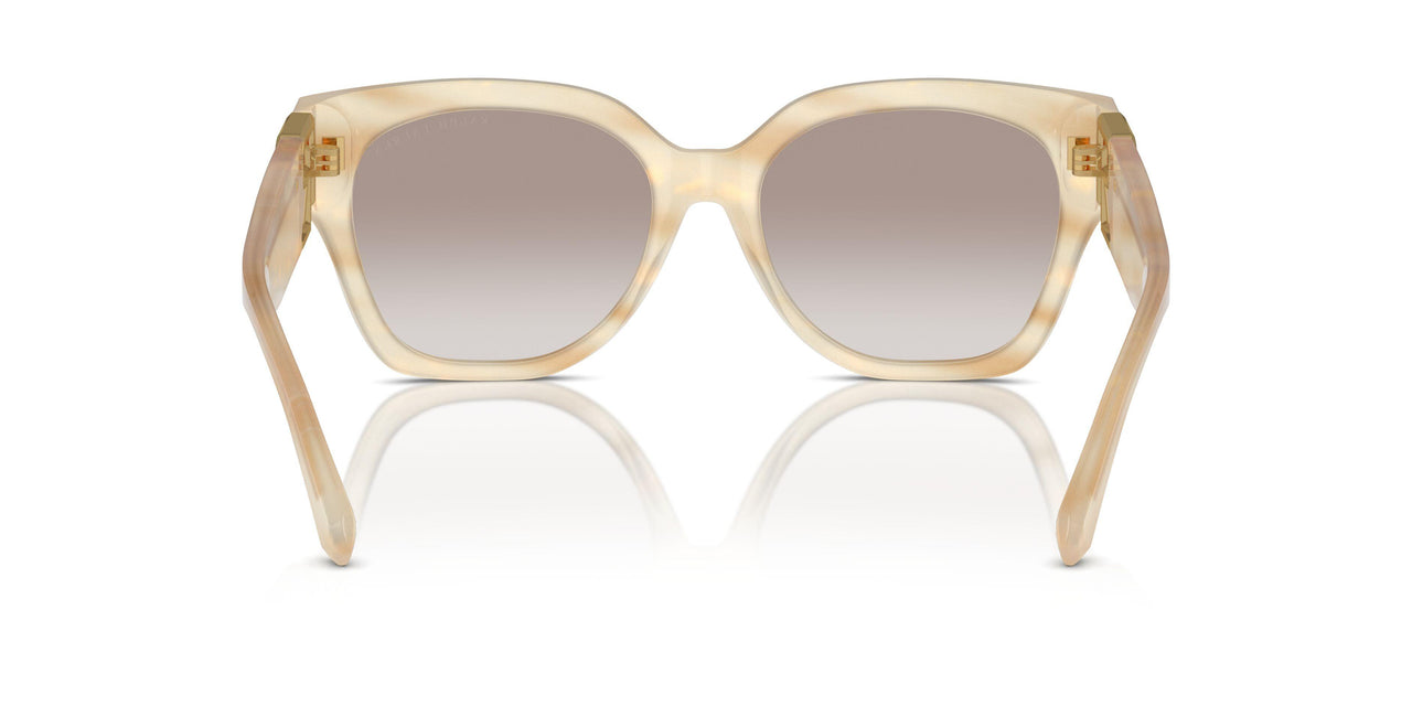 61766E - Brown - Brown Gradient Mirror Gold