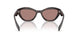 17N60B - Tortoise - Light Brown