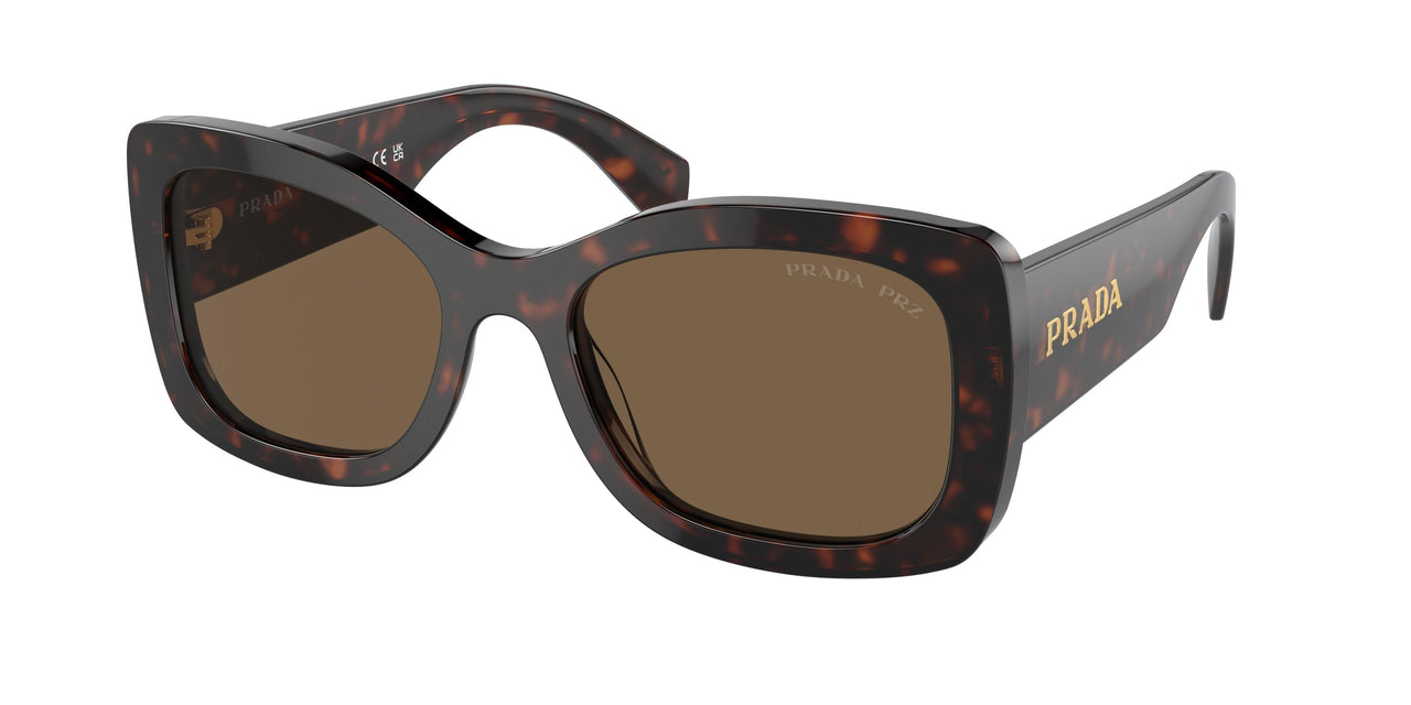 16N5Y1 - Brown - Dark Brown Polar