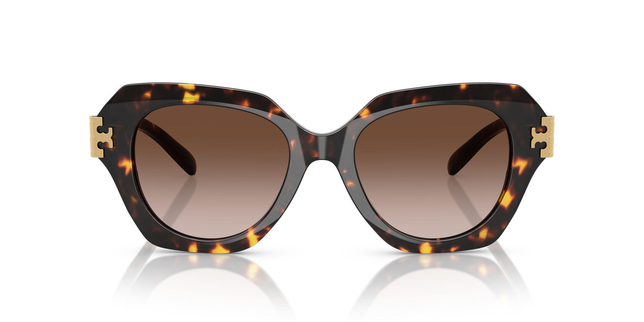 201613 - Tortoise - Brown Gradient