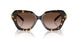 201613 - Tortoise - Brown Gradient
