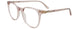 10 - Beige Transparent