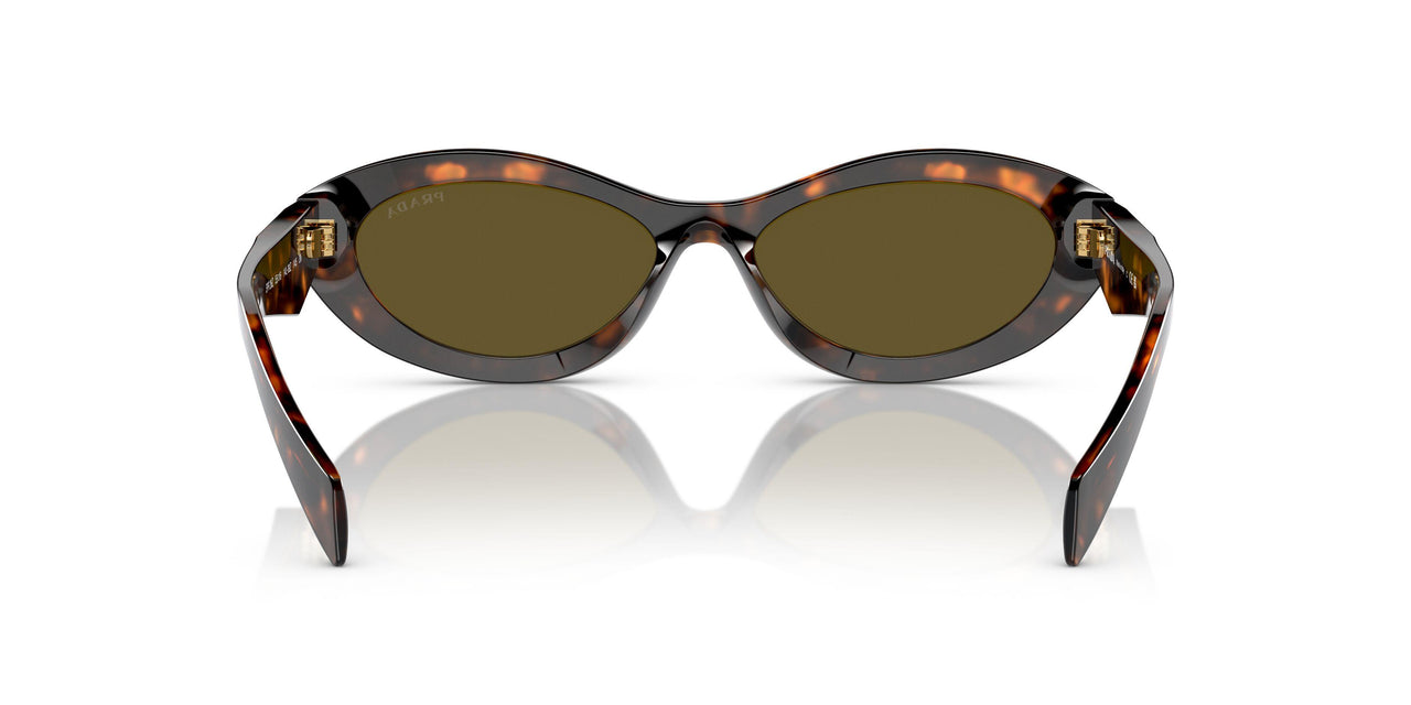 14L09Z - Green - Dark Brown