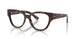 3002 - Brown