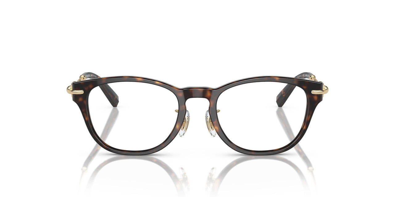 8015 - Tortoise