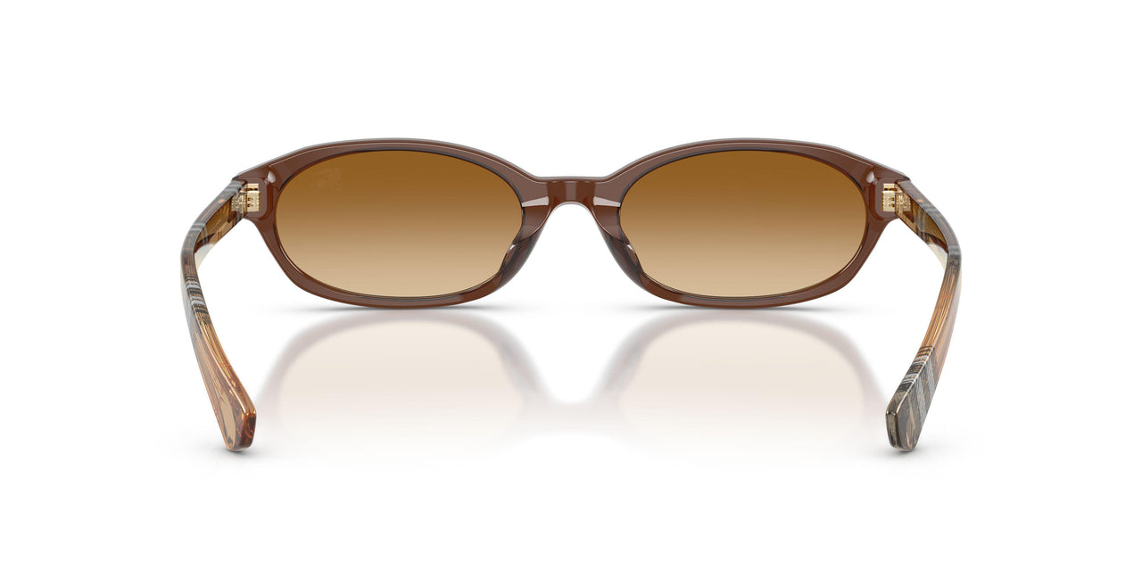 424313 - Brown - Brown Gradient