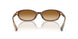 424313 - Brown - Brown Gradient