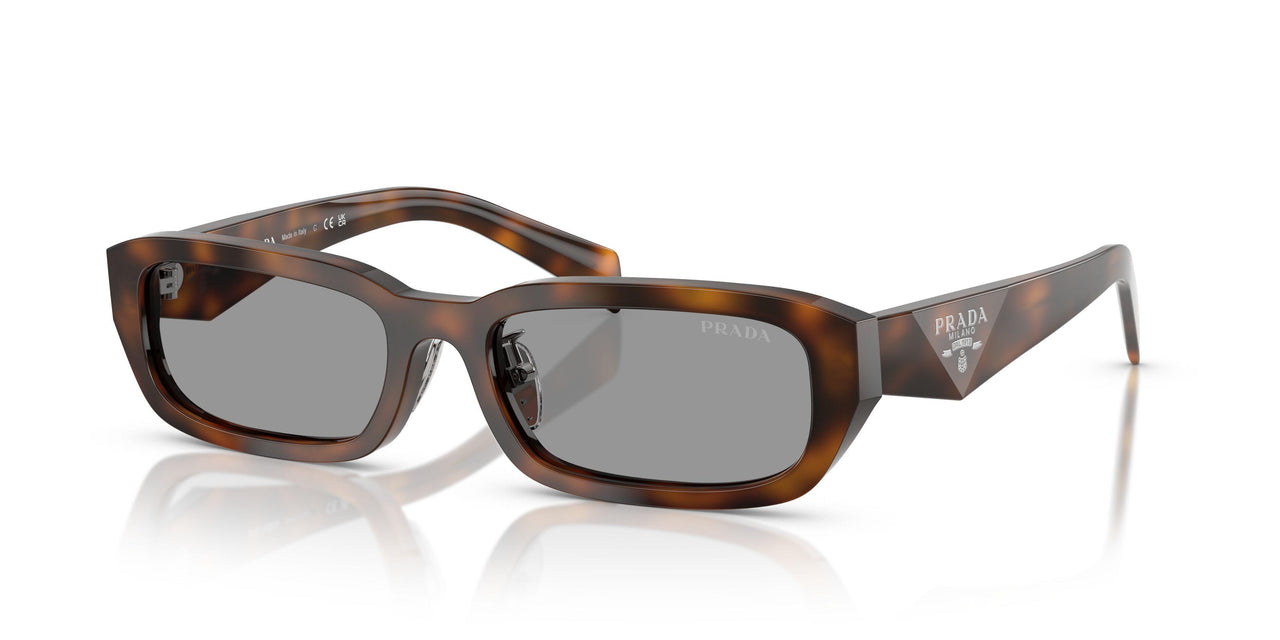 20D50Q - Havana - Grey