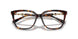 5026 - Tortoise