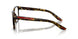 5811O1 - Tortoise