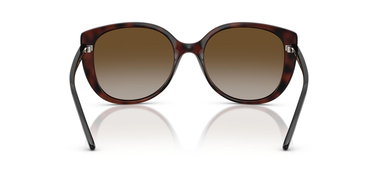 2386T5 - Brown - Grey Gradient Brown Polar