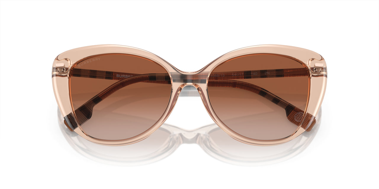 408813 - Pink - Brown Gradient