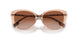 408813 - Pink - Brown Gradient