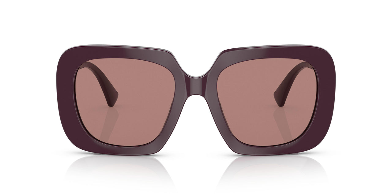538273 - Bordeaux - Brown