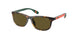 500373 - Tortoise - Olive Green