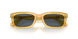 204/R5 - Yellow - Blue