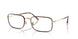 3177 - Tortoise - Clear